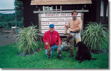 Pheasant Hunting