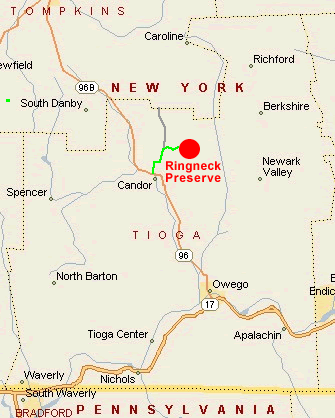 Ringneck Preserve Directions