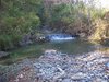 Three streams meander through Ringneck Preserve