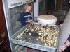 One of our helpers evaluatings a late pheasant hatch