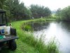 A spring fed pond for fishing and cooling bird dogs off