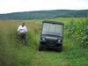 Examining switchgrass seed production