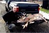 Deer Season